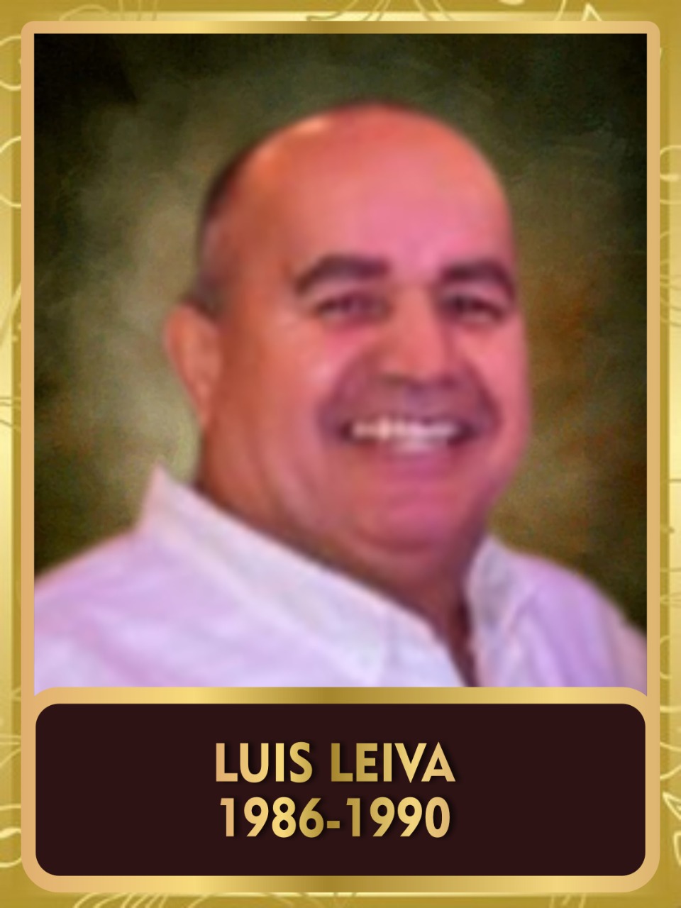 Luis Leiva